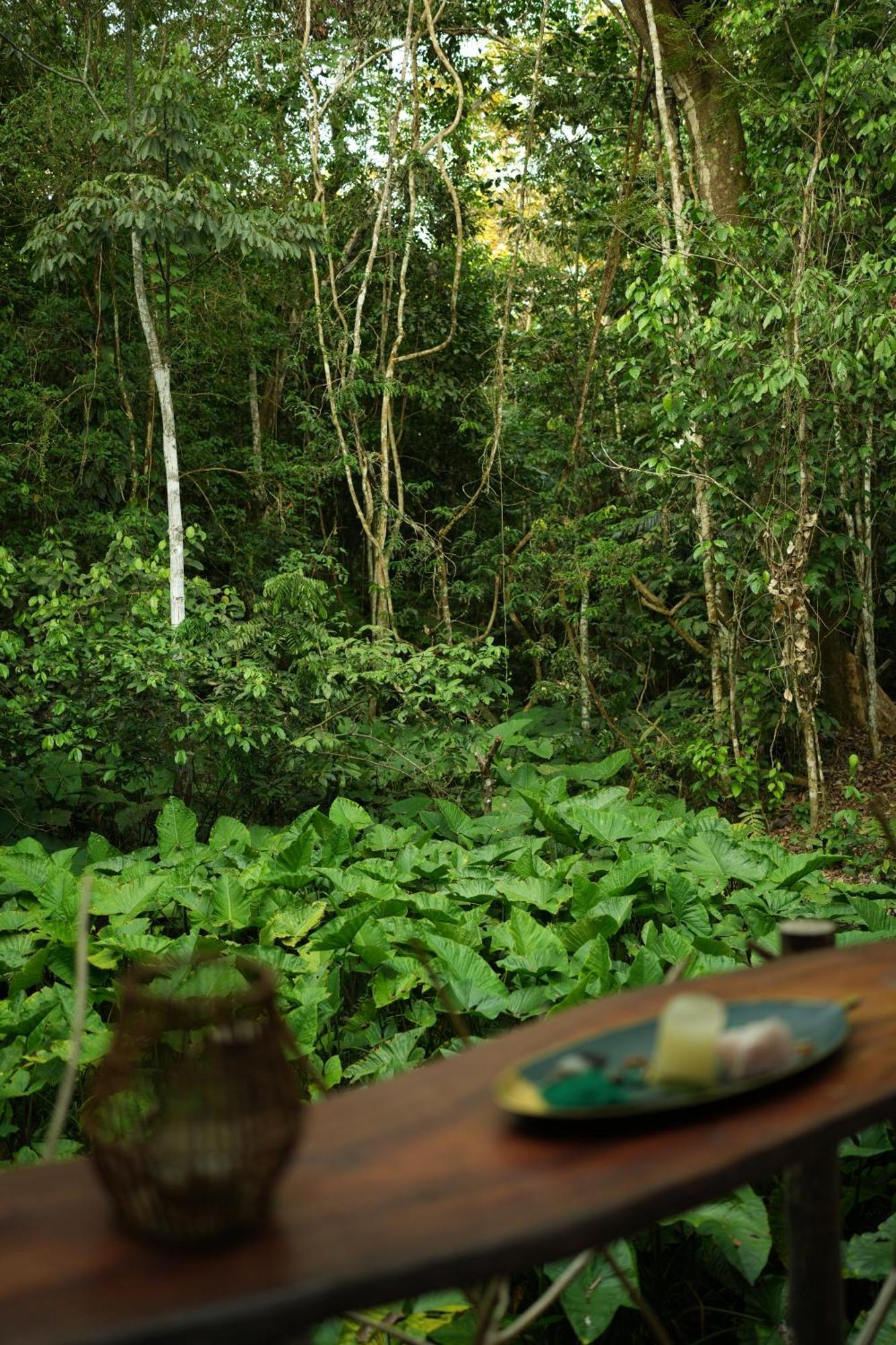 Awaken Amazonian Healing Resort All Inclusive Икитос Экстерьер фото